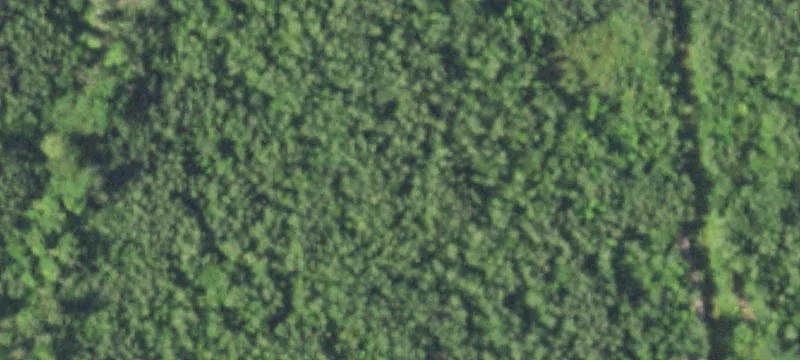 Unimproved Land