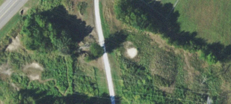 Heavily Treed Land Parcel