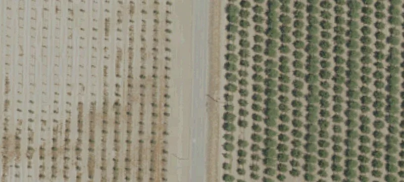 Ward Industrial Park Land