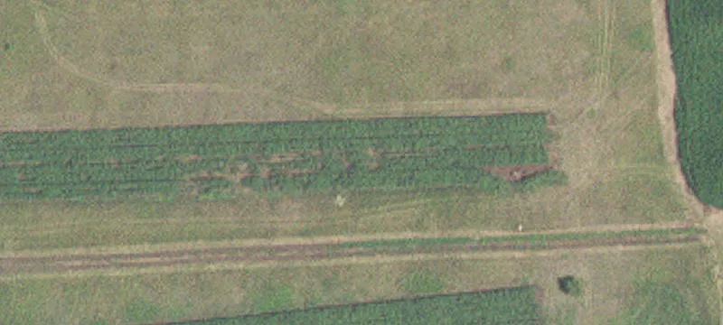 Wooded Hunting Land