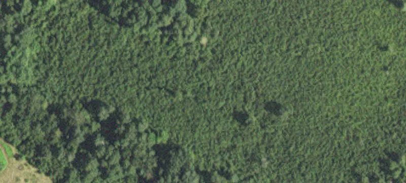 Wooded Hunting Land