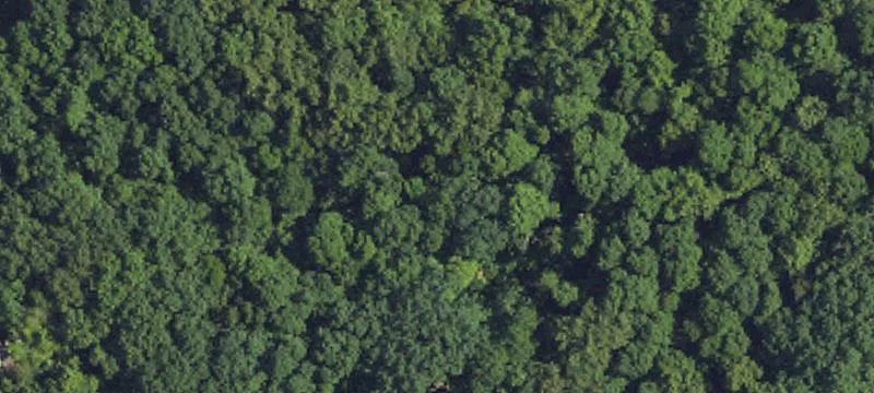 Continuous Hunting Land Tract