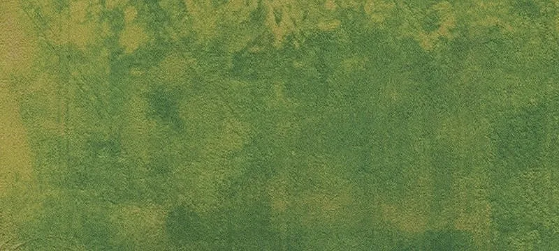 Land/Lot