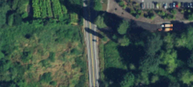 Undeveloped Land