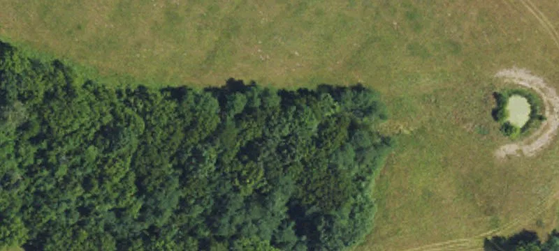 Hunting Land with Residence