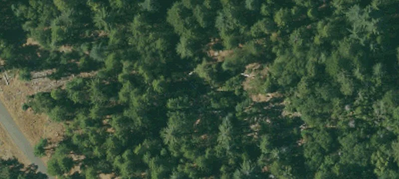 Land/Lot