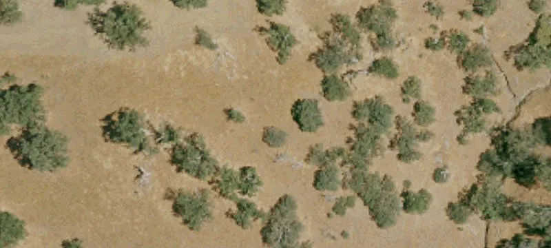 Unimproved Land