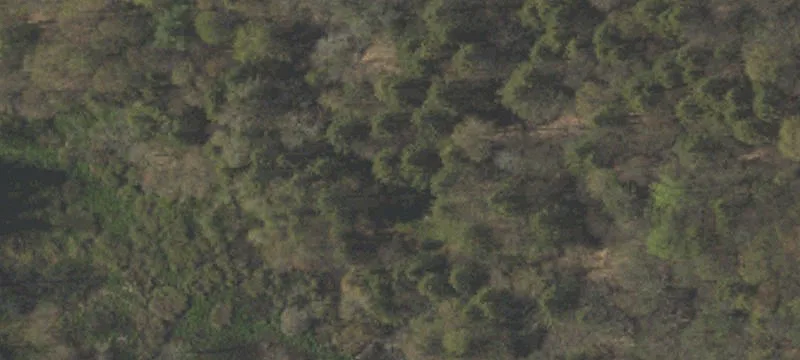 Land/Lot