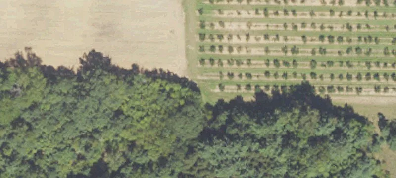 Land