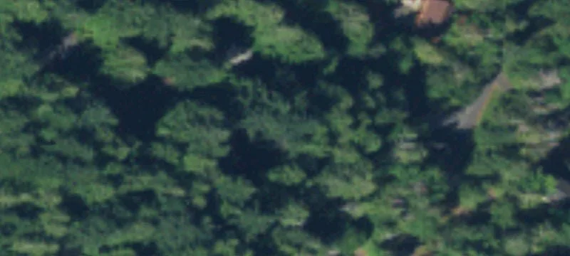 Land/Lot