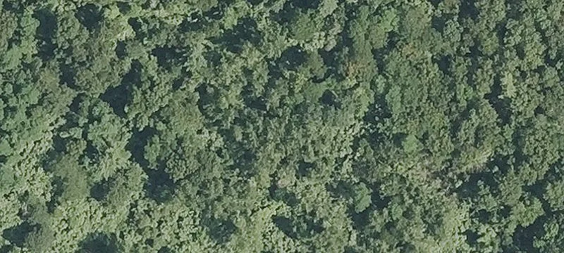 Vacant Land