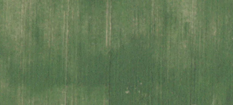 Tillable Farmland with Road Frontage