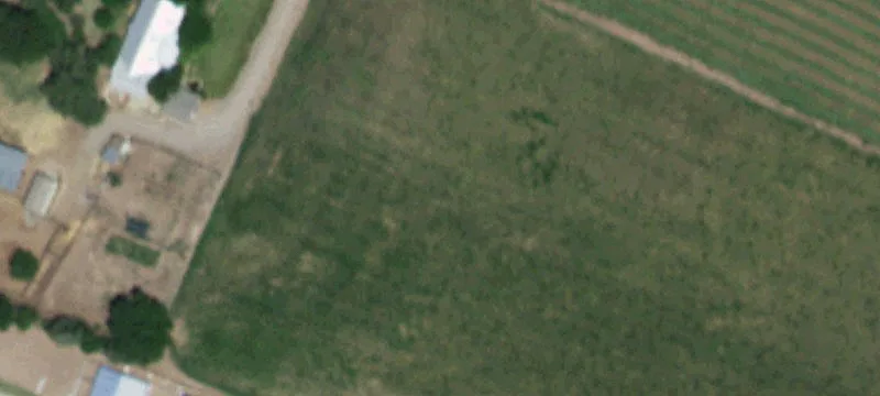 Irrigated Farm With Homestead