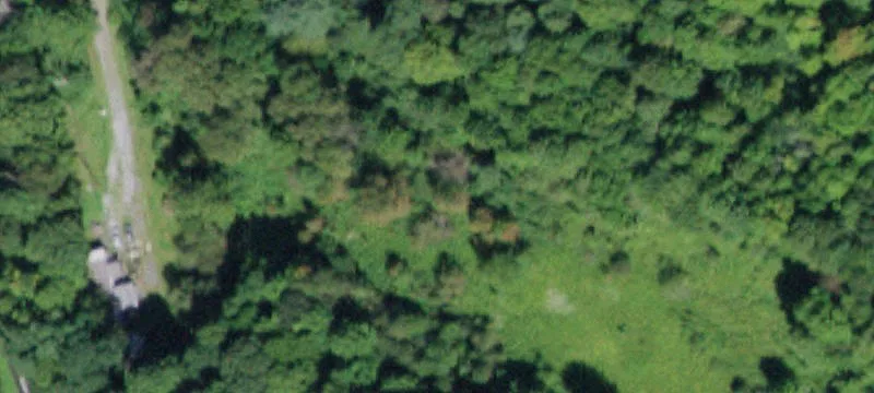 Wooded Hunting Land with Outbuilding