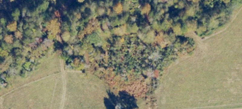Riverfront Land with Wooded Acreage