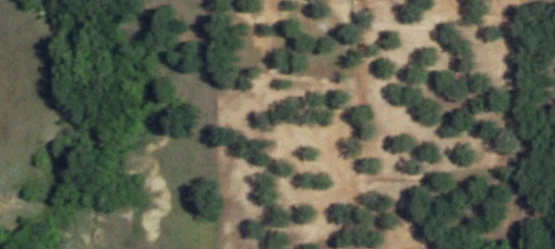 164 Private Rd Unit 3712, Paradise, TX 76073