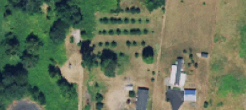 Land
