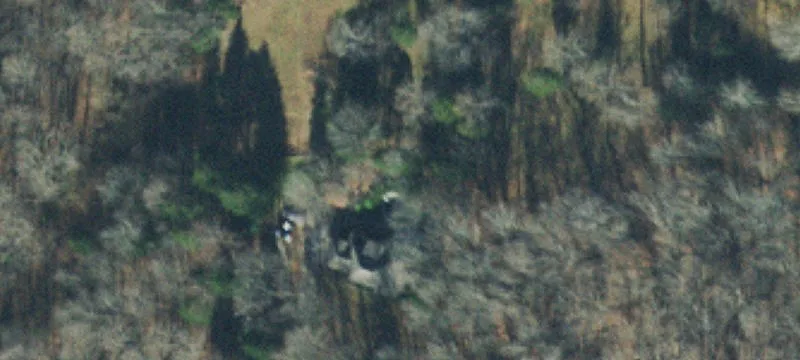 Woodland and Pasture Ranch