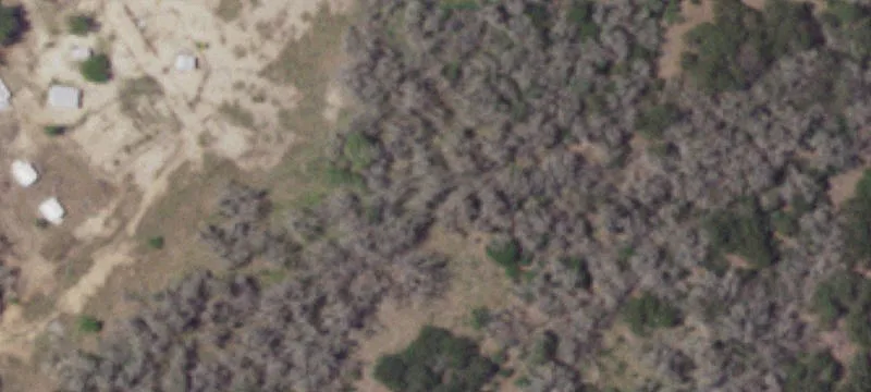 Hunting Land with Cabin