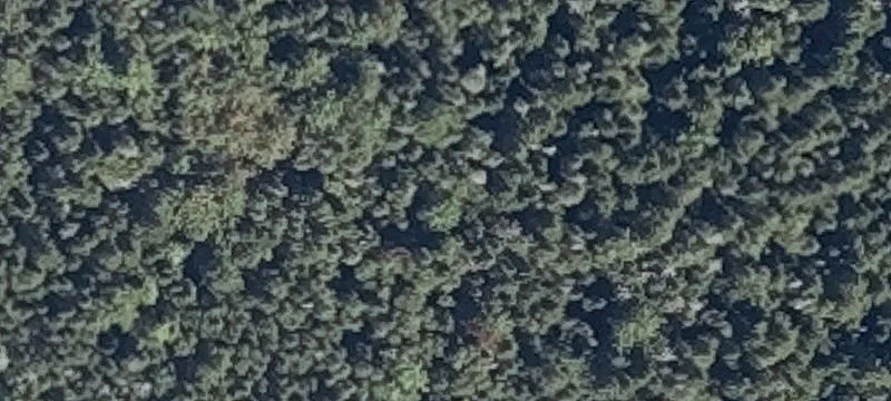 Vacant Land