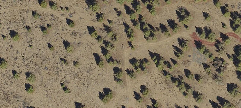 Land