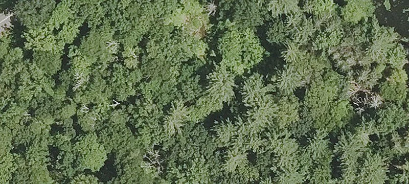 Undeveloped Waterfront Land