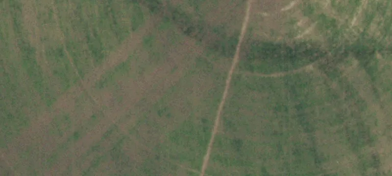 Horse Property with Residence