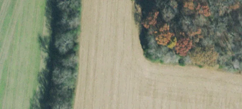 1 Clarence Finney Rd, Hillsboro, TN 37342