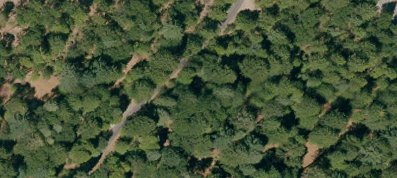 Land/Lot