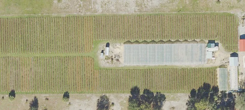 Hydroponic Farm with Greenhouses