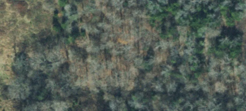 Land