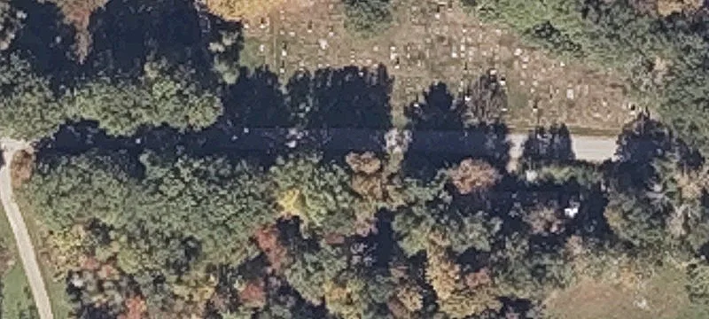 Established Cranberry Farm