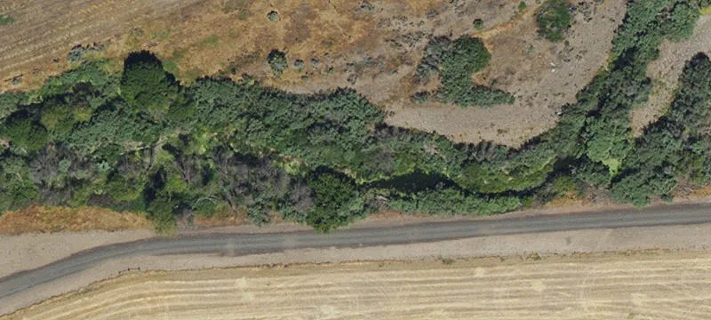 Cattle and Hunting Ranch