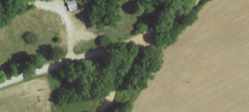 Wooded Farm with Barndominium
