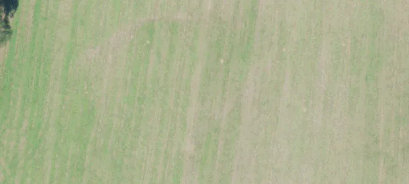 Farm with Brick Ranch Home