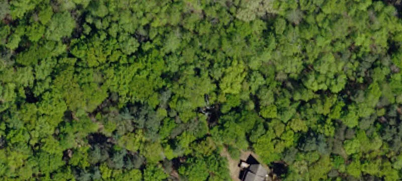 Vacant Land