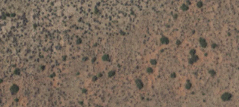 Undeveloped Land