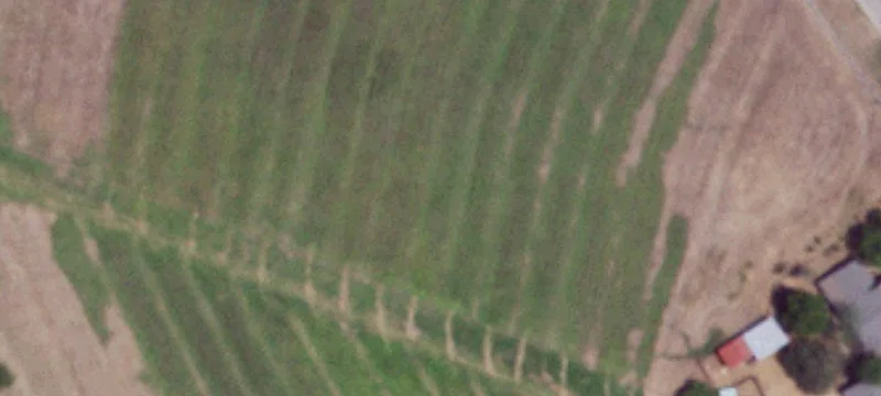 Farm Property