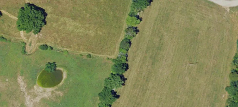 Land