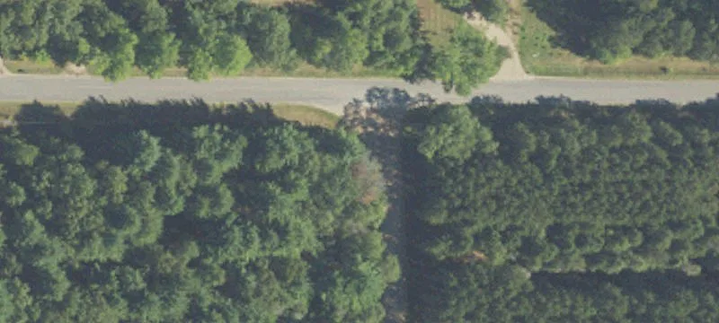 Wooded Hunting Land