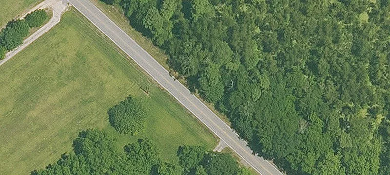 Cypress Timberland Hunting Property