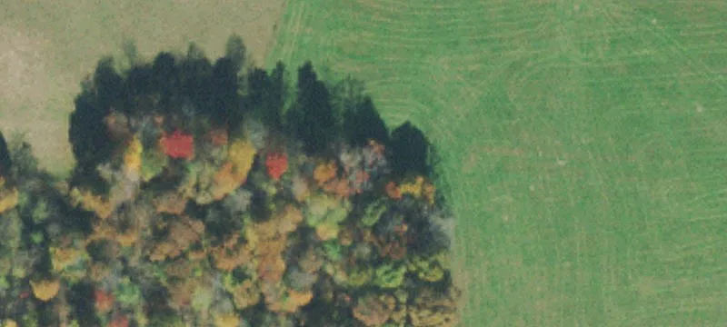 Unimproved Land