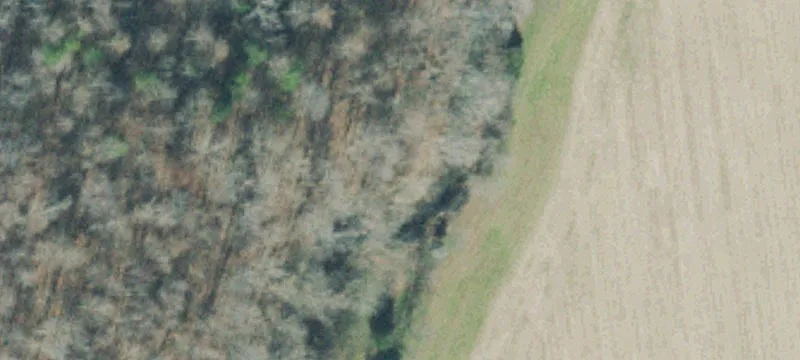 Agricultural Land with Spring-Fed Creek