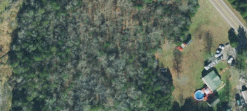 Partially Wooded Hunting Land
