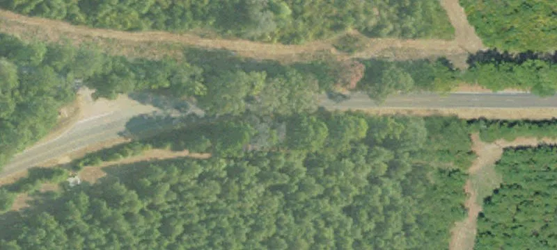 Hunting Land with Improvements