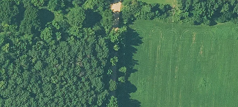 Poultry Farm with Brick Residence