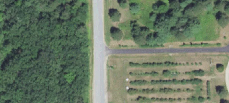 Commercial Orchard Farm