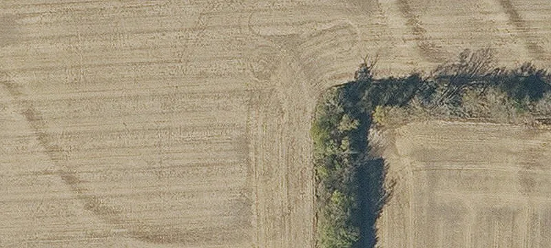 Industrial Land Near Proximity Park