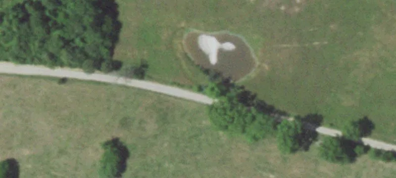 Farm With Pasture And Timber