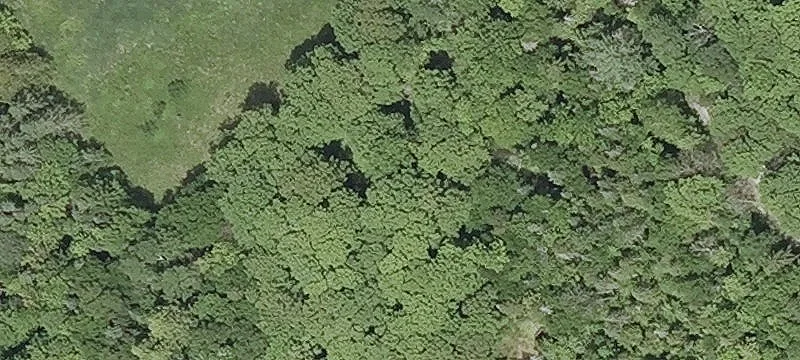 Farmland with Sugarhouse
